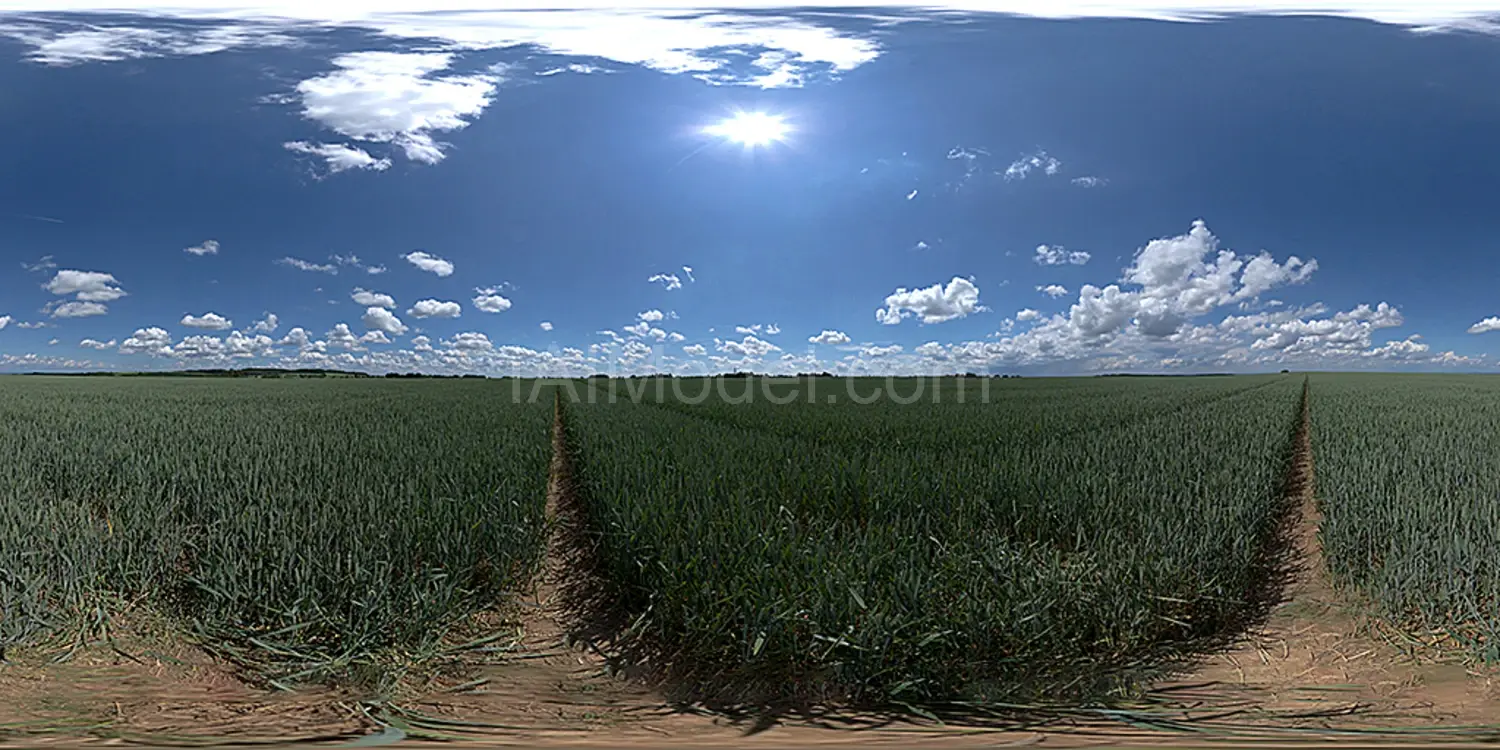 img1