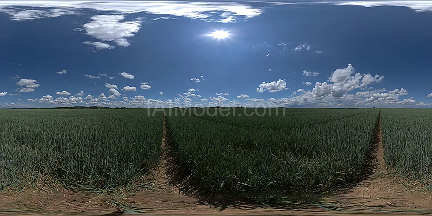 img1