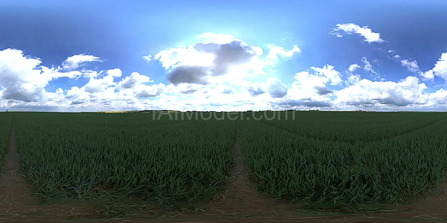 img1