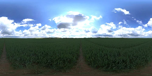 天空