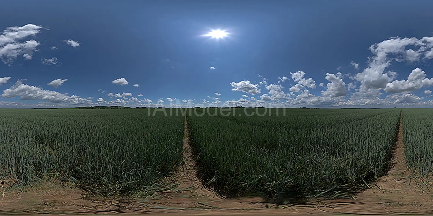 img1