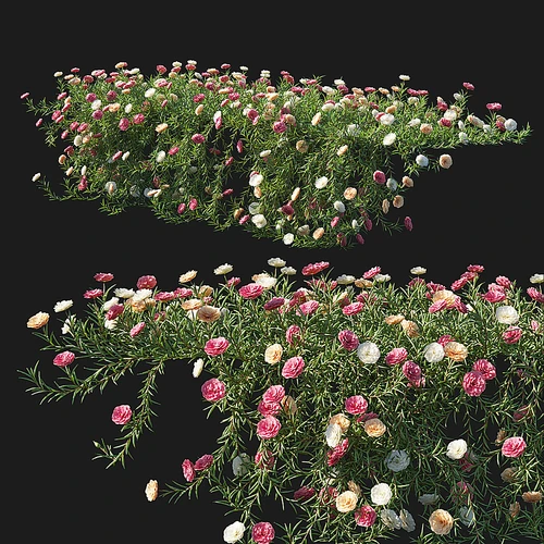 花草