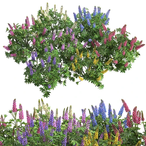 花草