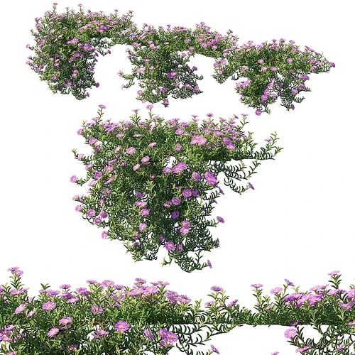花草