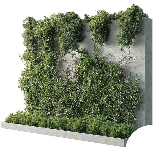 植物墙