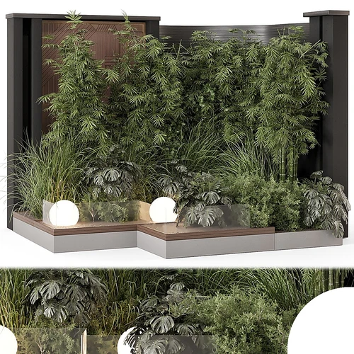 室内绿植景观
