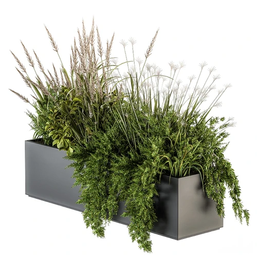 植物堆