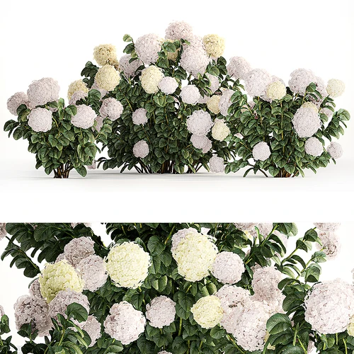 花草