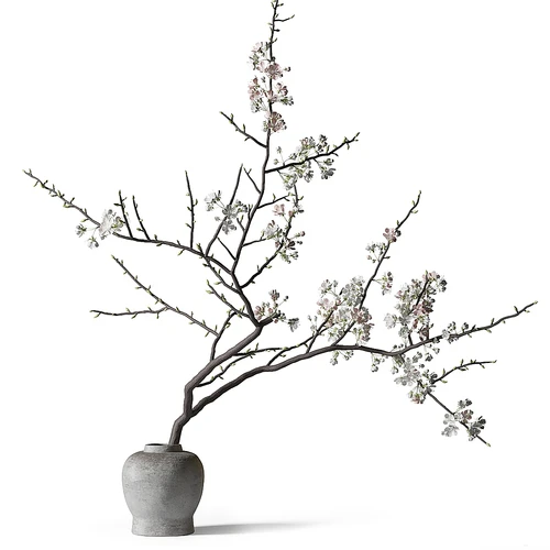 植物花草 花艺花卉 花瓶摆件