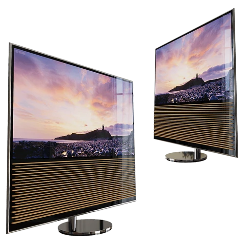 TV with speaker Beovision