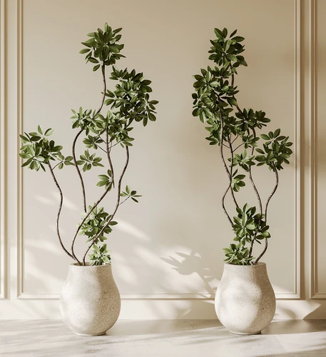 现代绿植盆栽