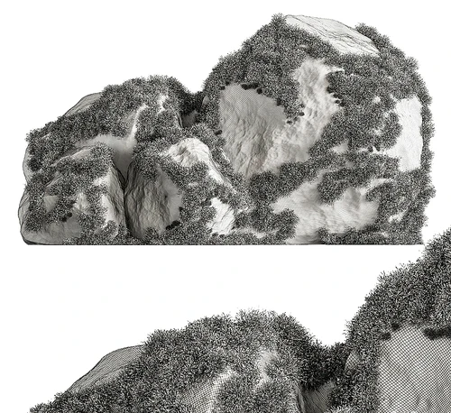 苔藓石