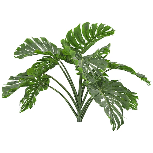 现代树景观树灌木植物
