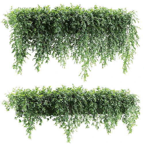 绿植吊篮