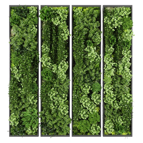 现代植物墙