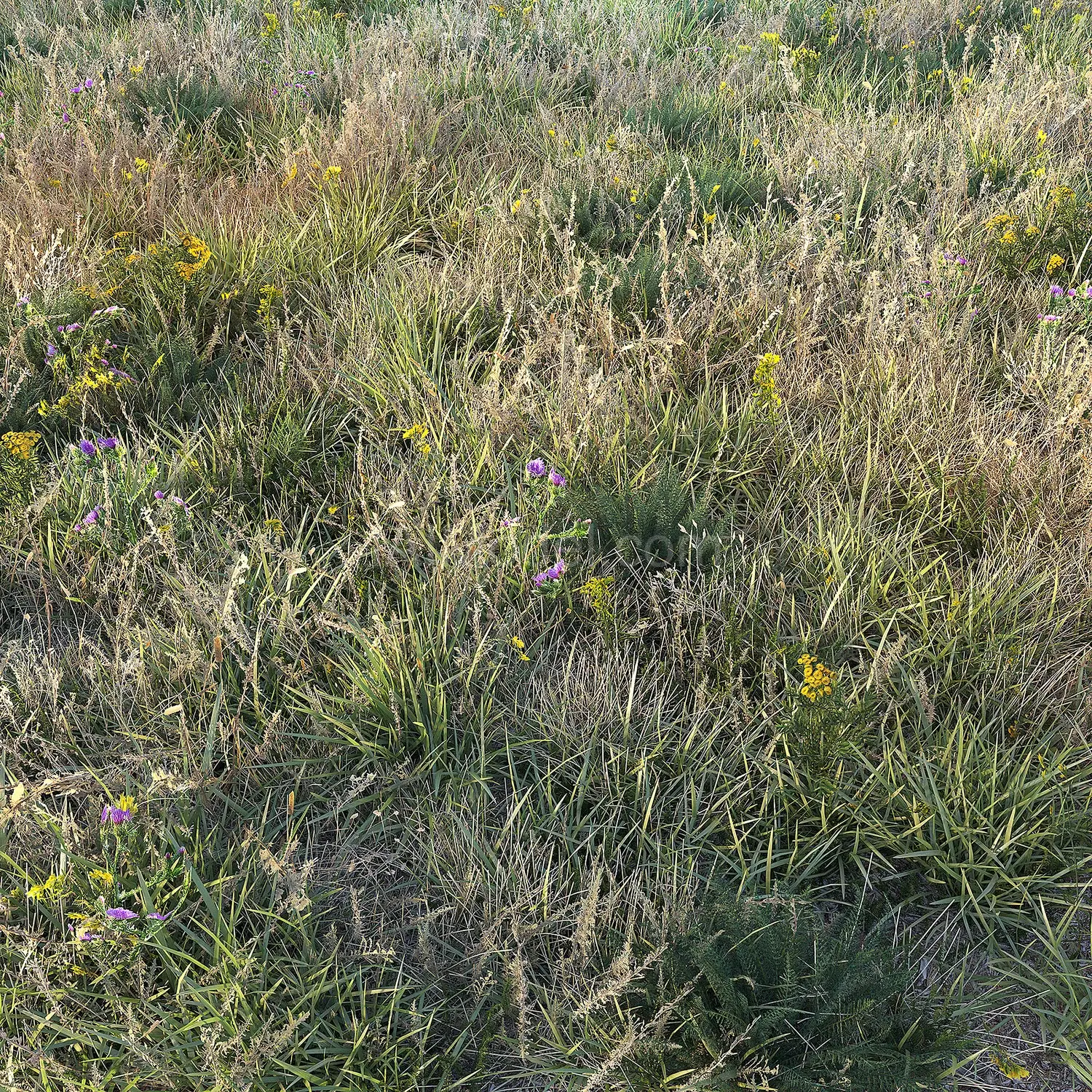 img2