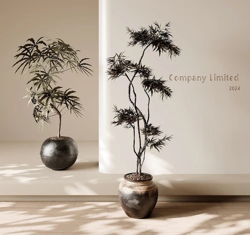 中古风绿植盆栽