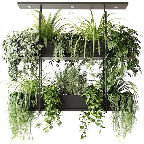 现代植物架 植物盆栽