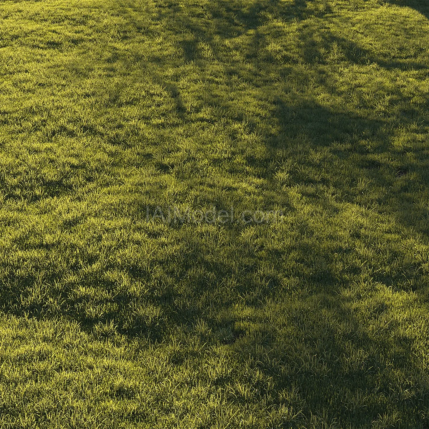 img3