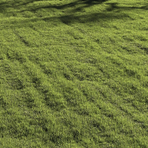 绿茵草地草坪