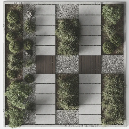 现代景观植物