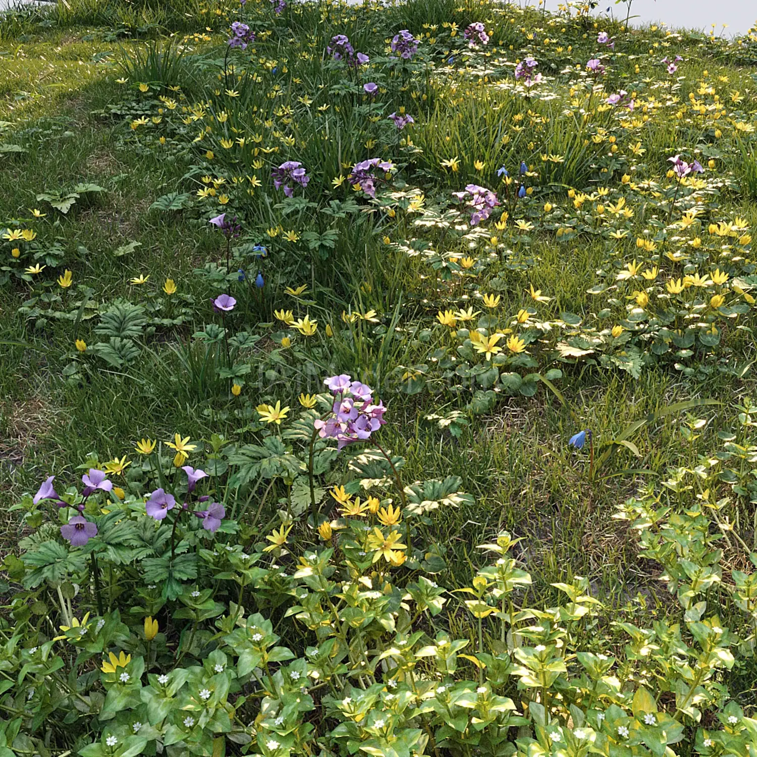 img2