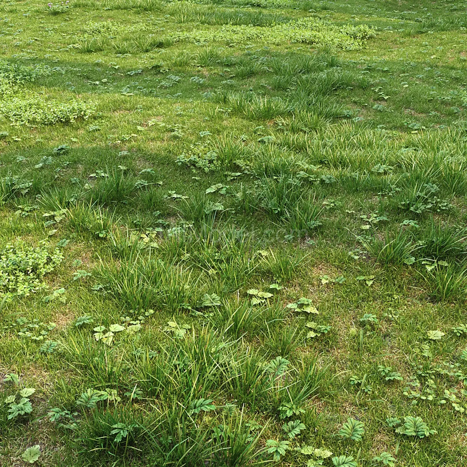 img3
