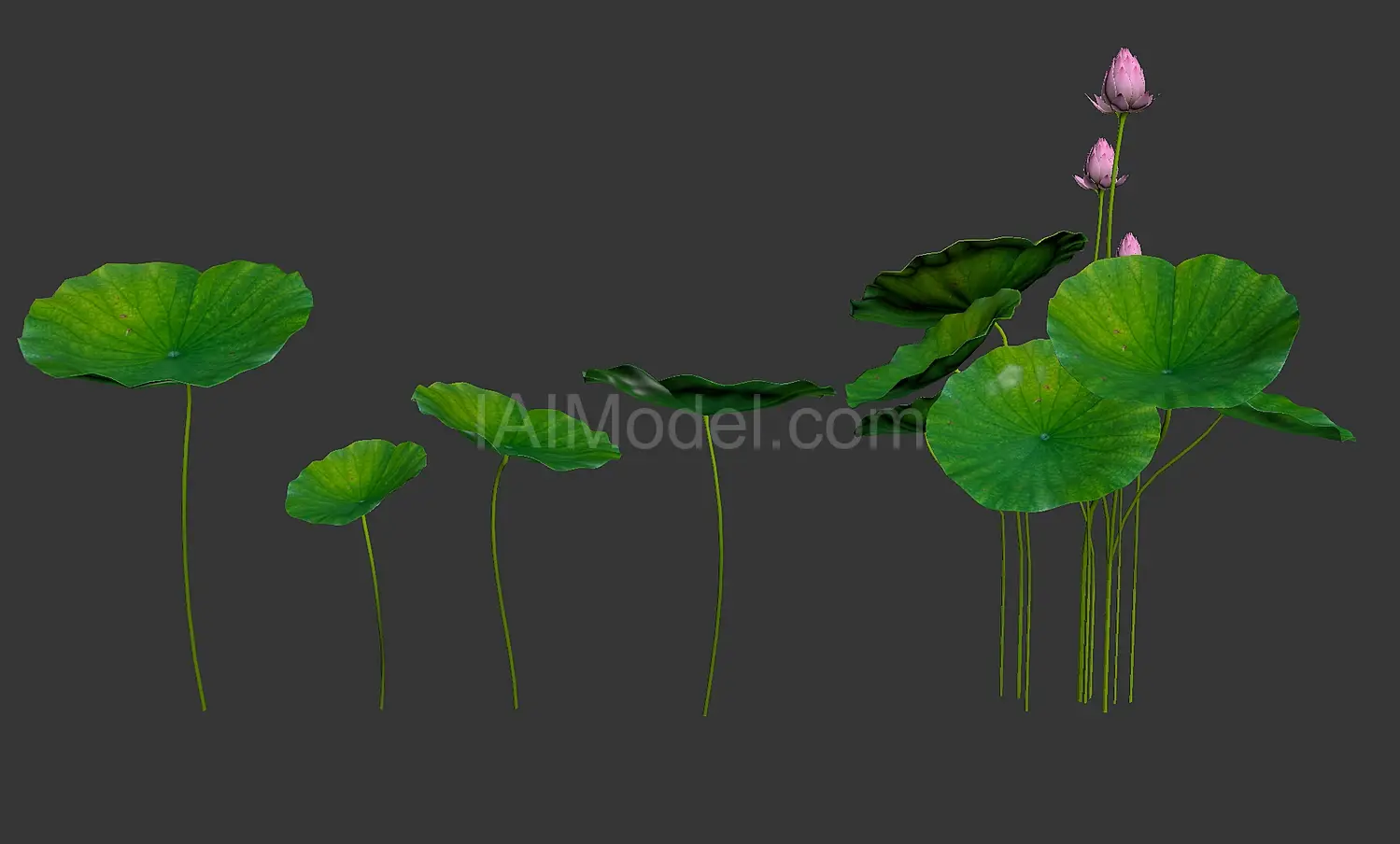 img2