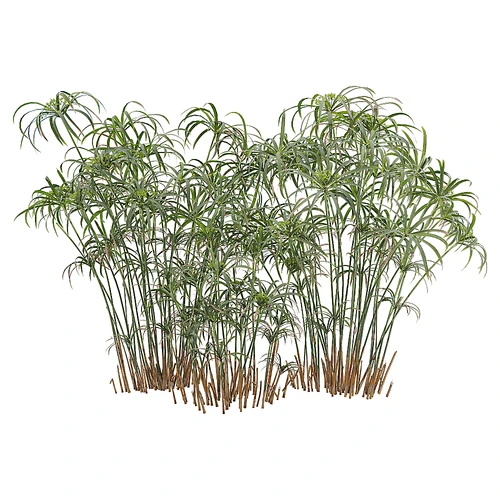 现代树景观树灌木竹子