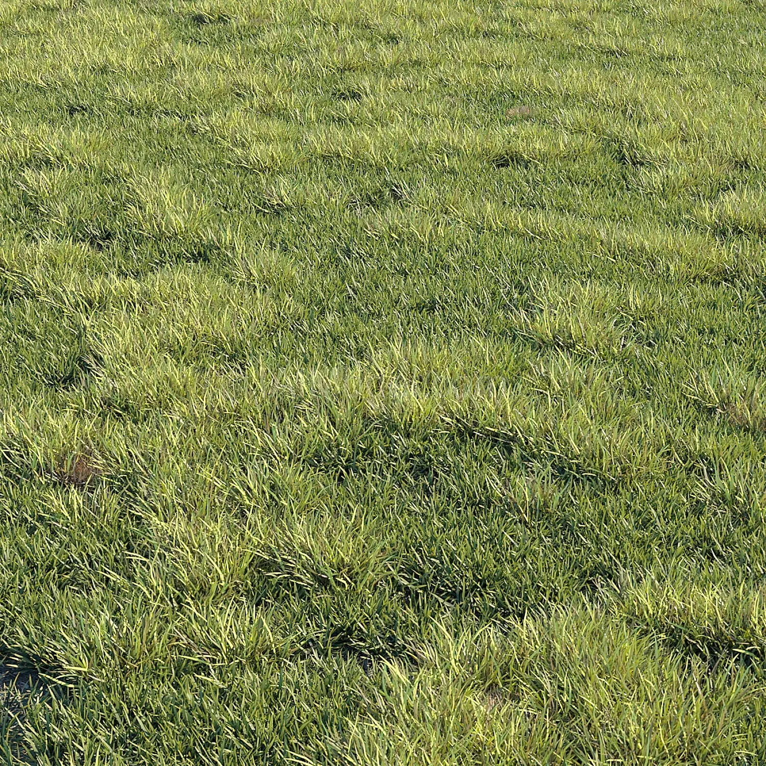 img2