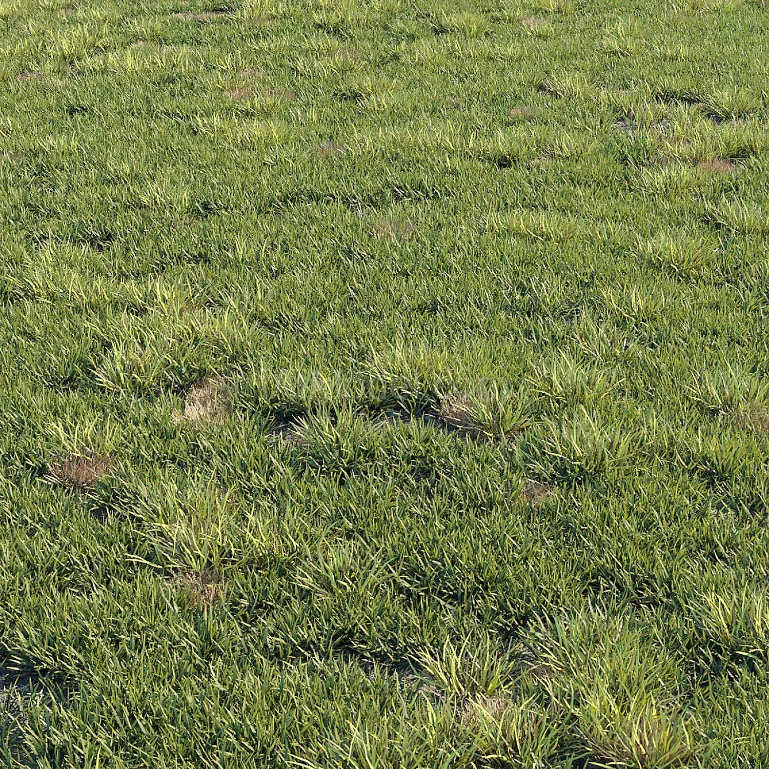 img3