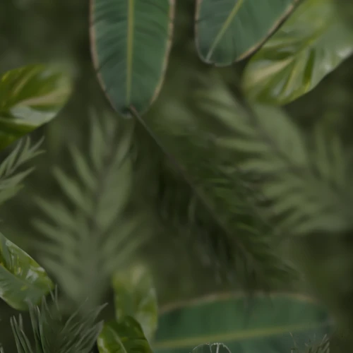 现代热带绿植 植物墙