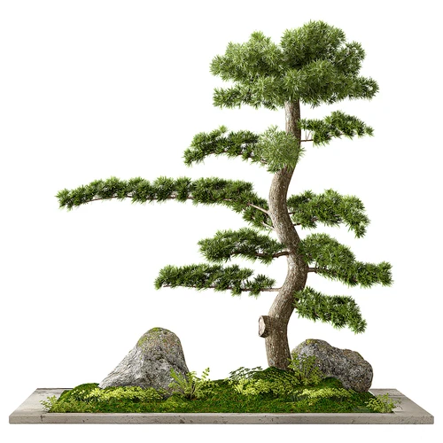 现代户外景观树 景观小品