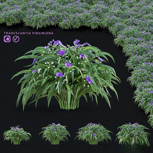 盆栽 花