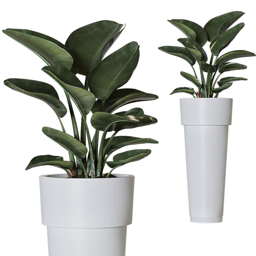现代落地绿植盆栽