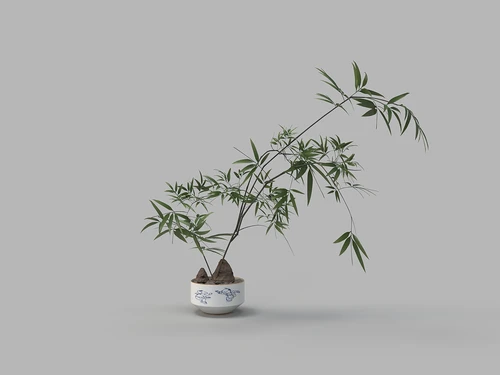 中式童子盆栽花艺盆栽