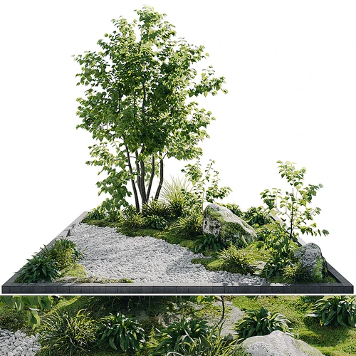 植物园林景观