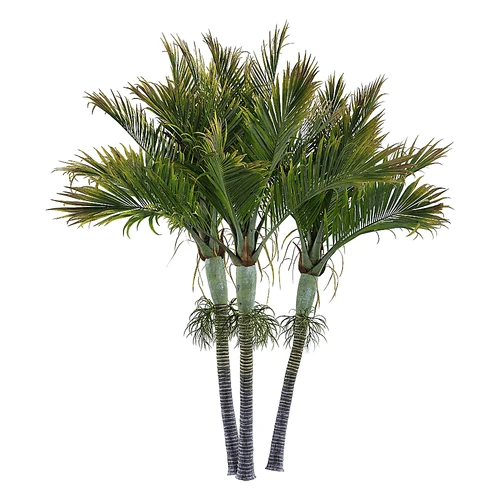 现代树景观树灌木植物