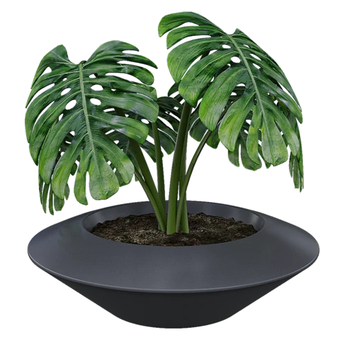 现代绿植盆栽