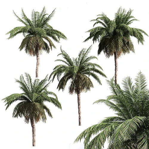树