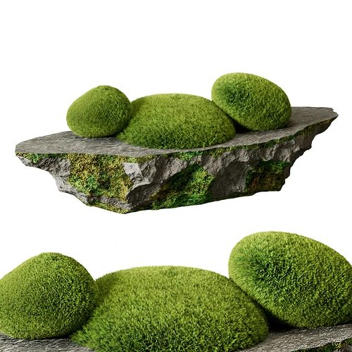 现代苔藓景观