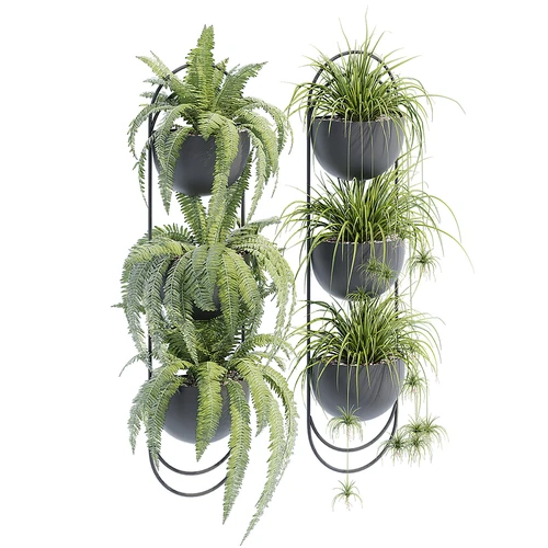 现代绿植盆栽吊篮