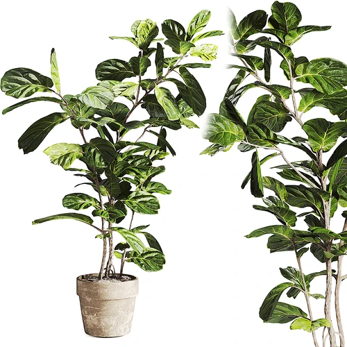 现代绿植盆栽盆景