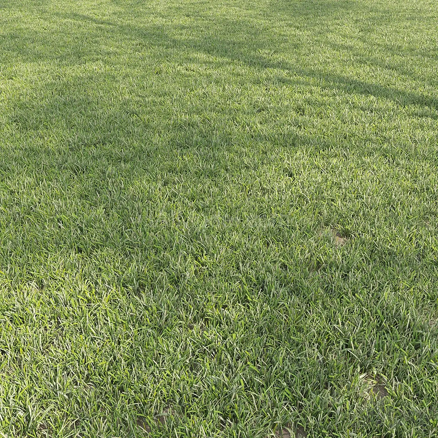 img1