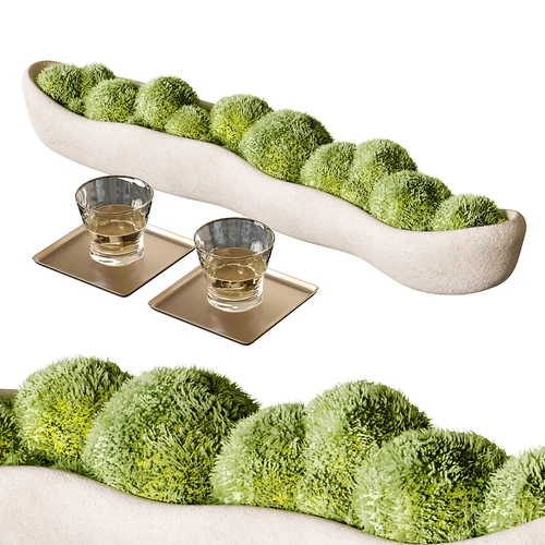 现代植物摆件