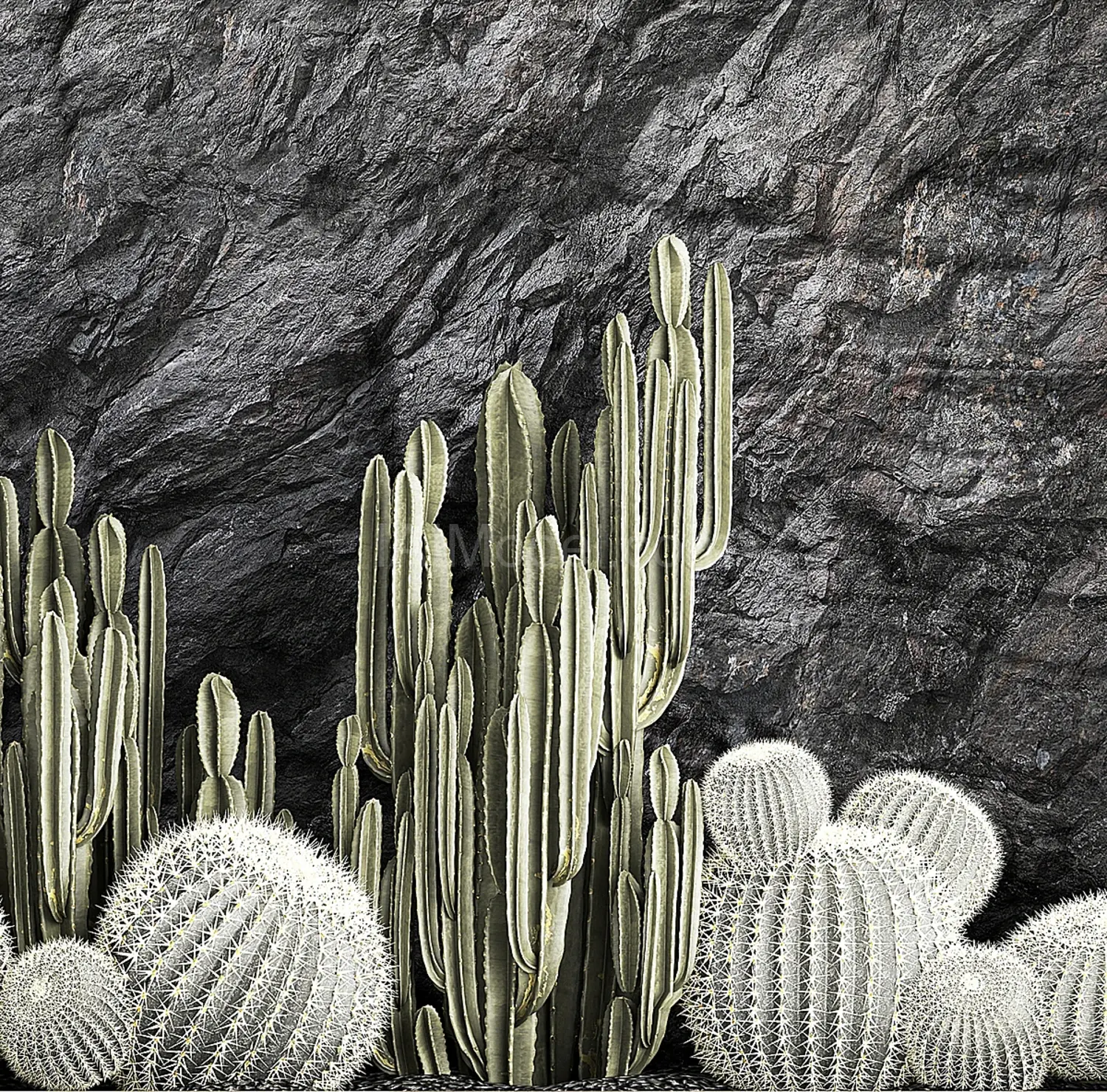 img4