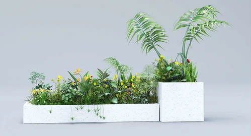 花箱