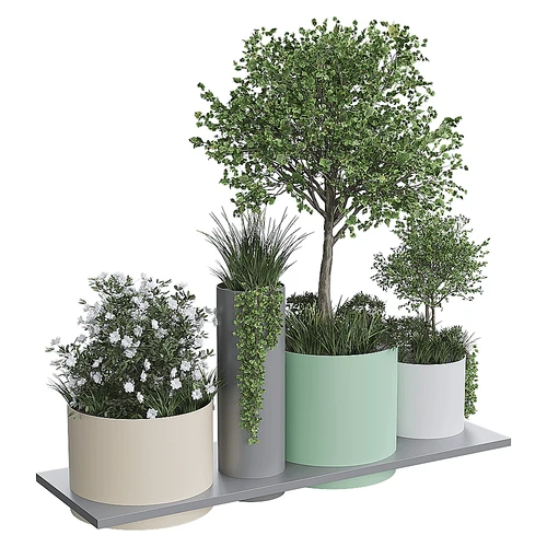 现代植物盆栽