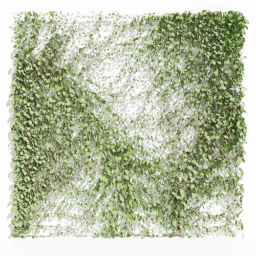 现代绿植藤蔓植物墙