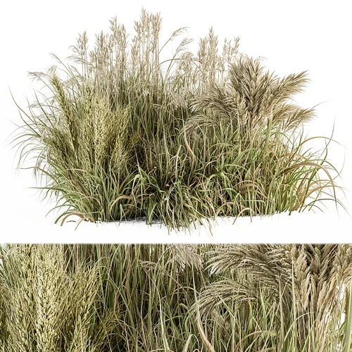 现代植物堆